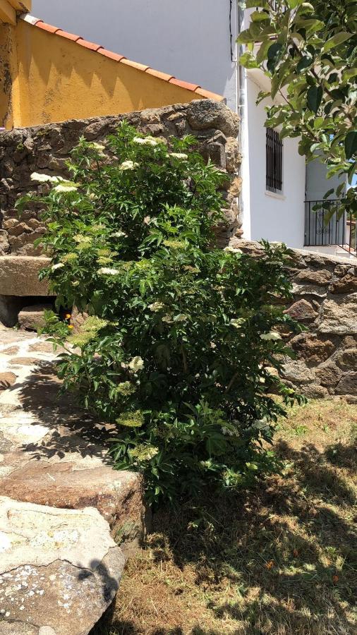בית הארחה Navasequilla 	Casa Sierra De Gredos מראה חיצוני תמונה