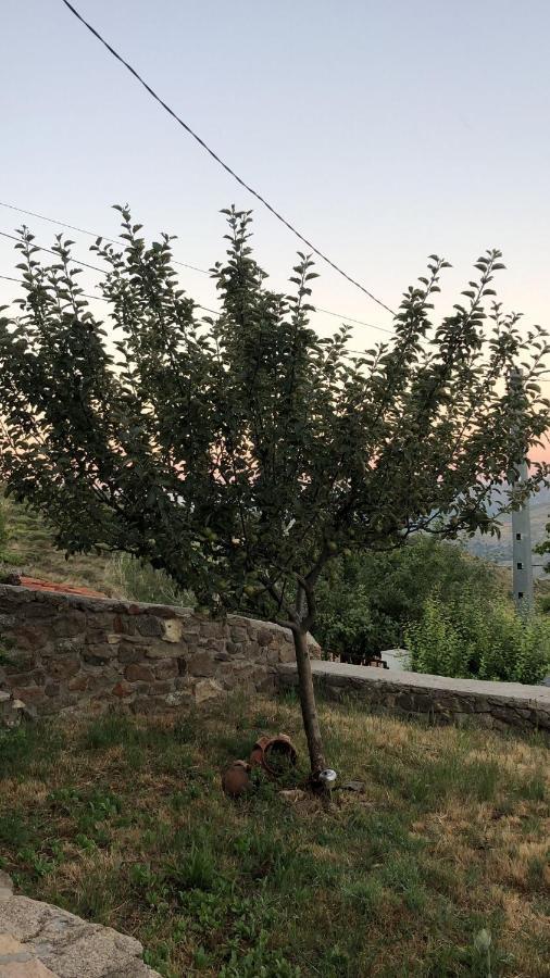 בית הארחה Navasequilla 	Casa Sierra De Gredos מראה חיצוני תמונה